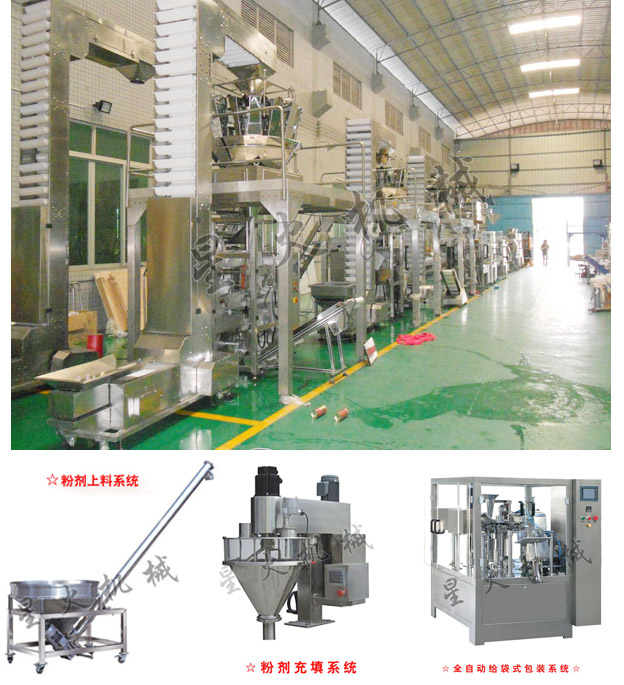 奥尔良腌料包装机